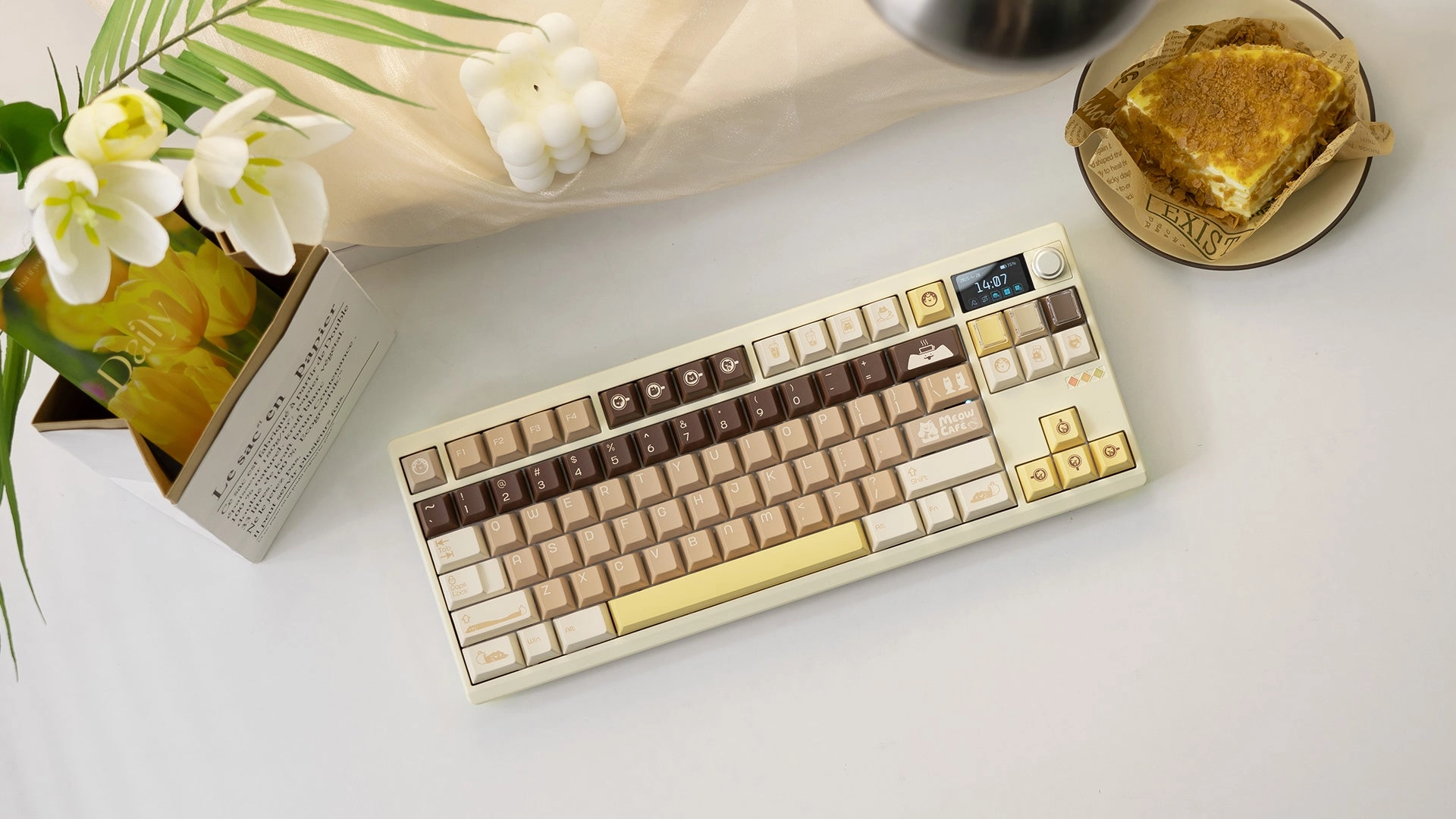 Luxury Smart Design Casual Wear [In Stock] ZOOM TKL DYNA Bavarois