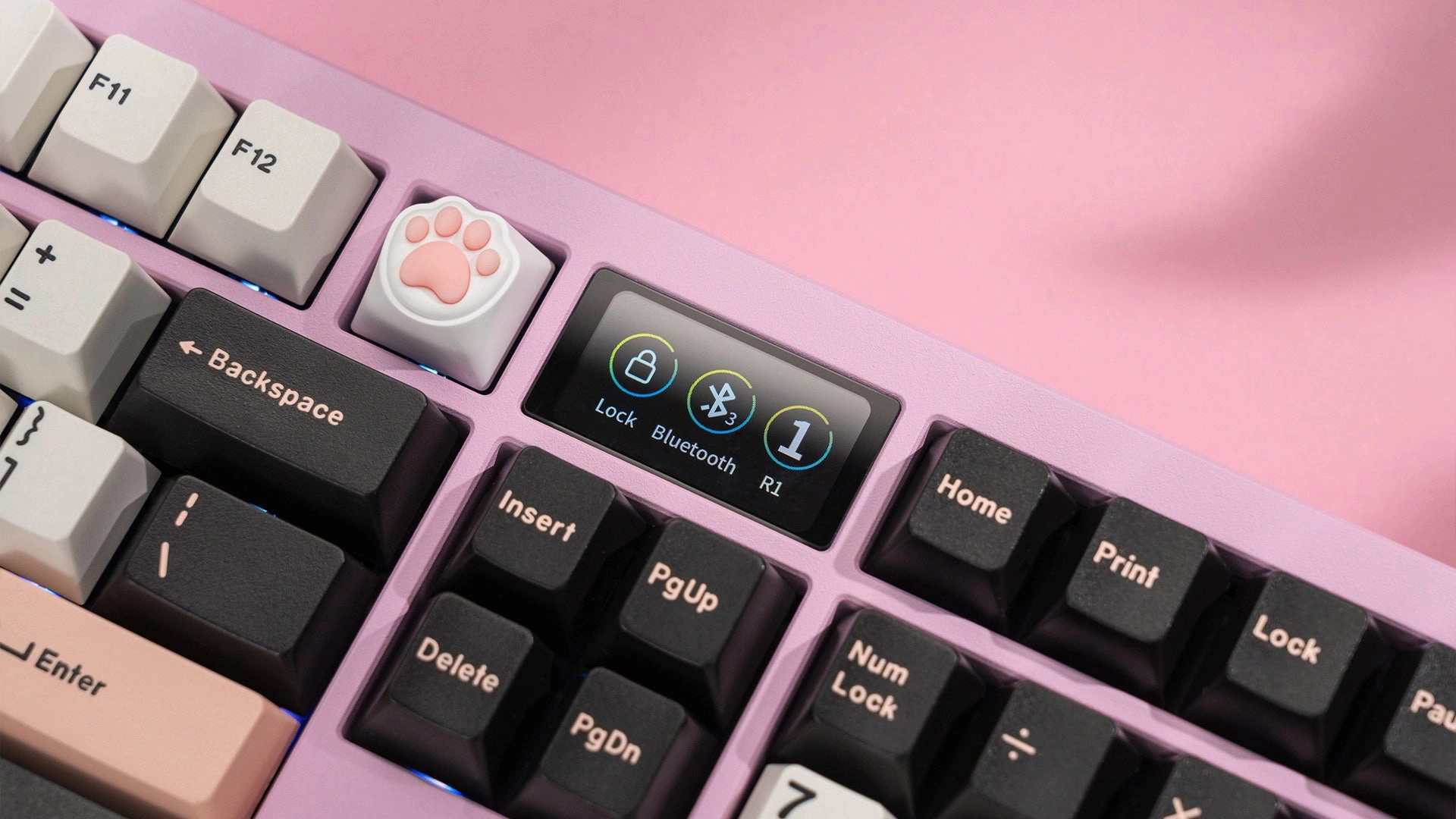 Fashion Ready Zoom98 EE Blush Pink Gift Idea