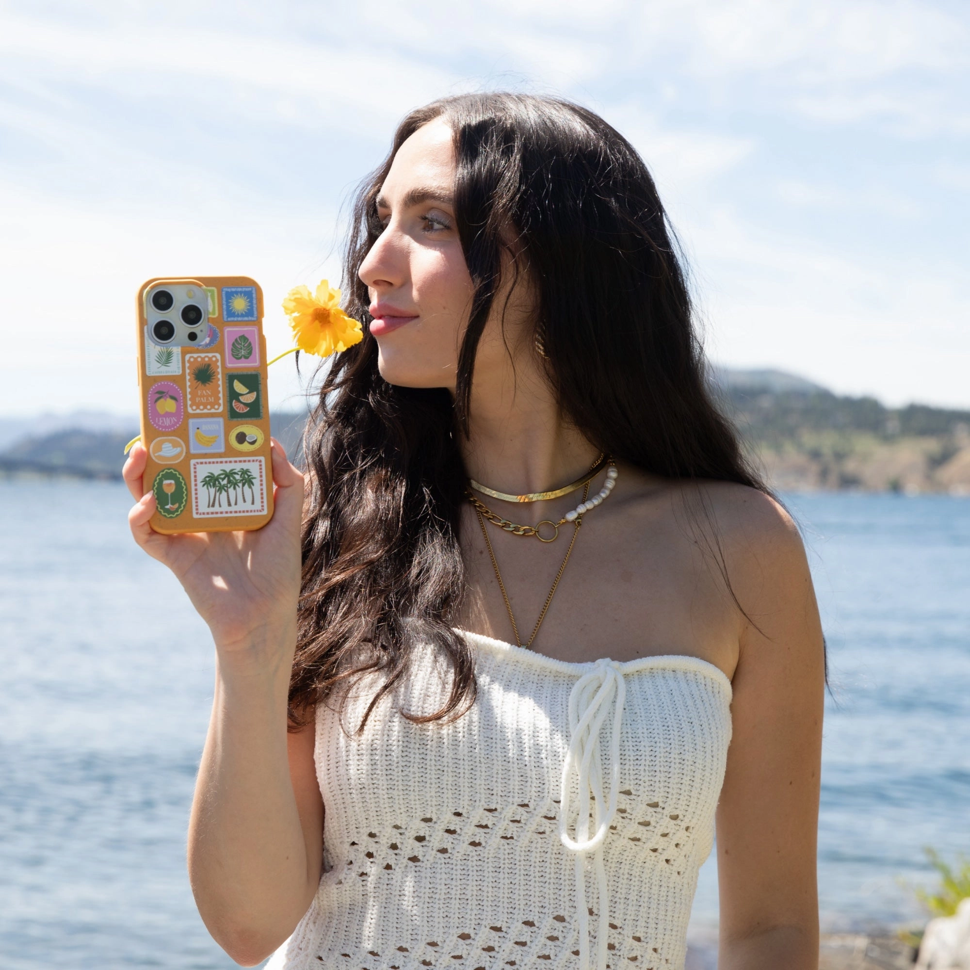 Honey Summer Paradise iPhone 17 Pro Max Case Drop Shield