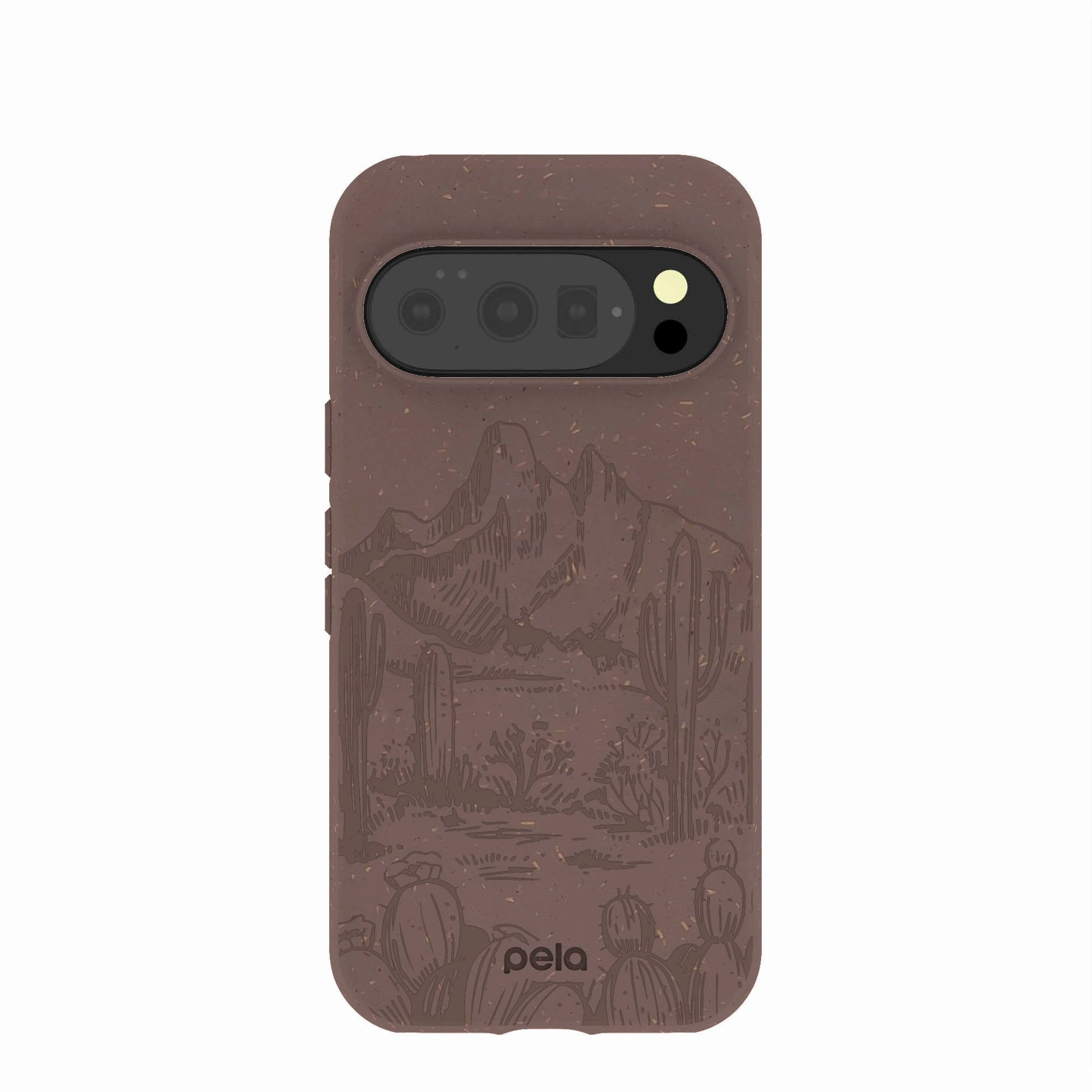 Chocolate Brown Desert Run Google Pixel 10/10 Pro Case Hybrid Finish
