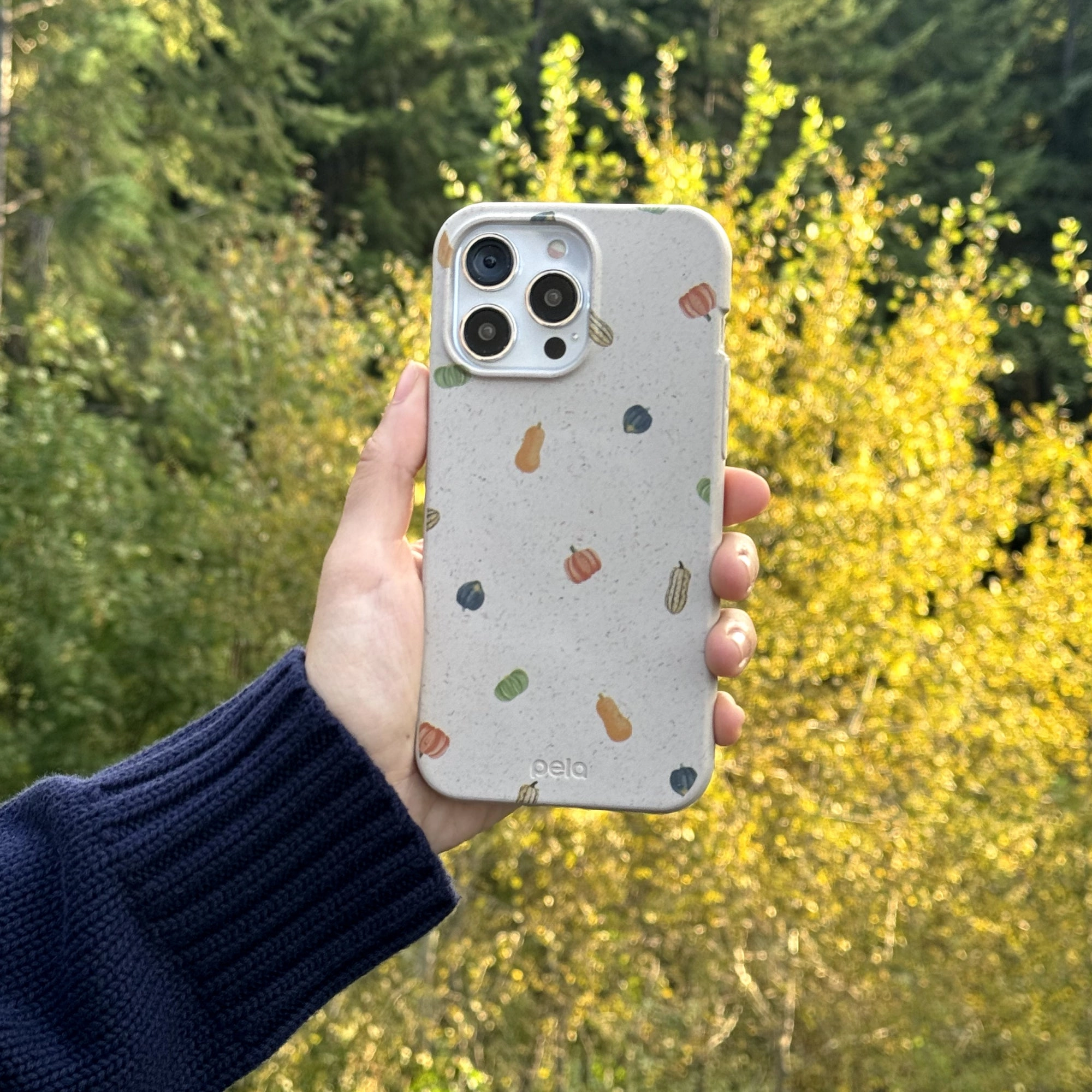 Seashell Squash Garden iPhone 17 Pro Max Case Elegant Touch